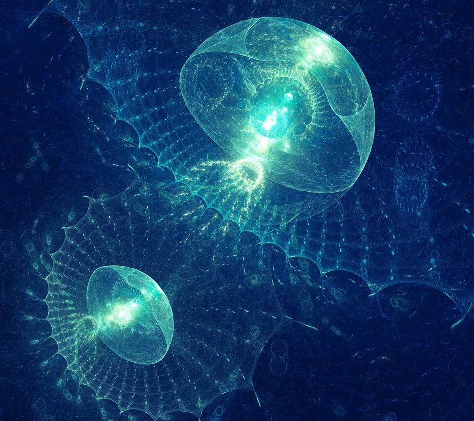 плавающая медуза